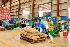 Gia Lai tiếp tục rà soát, tổng hợp để kiến nghị với các bộ, ngành có thẩm quyền tháo gỡ các rào cản đối với hoạt động đầu tư, kinh doanh. Ảnh: H.D