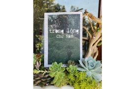 “Trong lòng Chư Nâm”: Mạch ngầm trải nghiệm