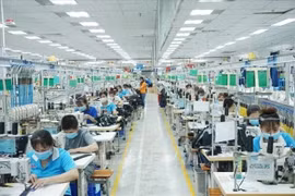 'Chắc chân' thị trường nội địa