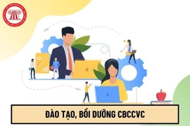 Phê duyệt kế hoạch đào tạo, bồi dưỡng cán bộ, công chức, viên chức năm 2025