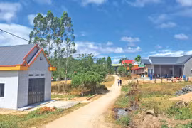 Khởi sắc vùng căn cứ cách mạng Đăk Tơ Pang 