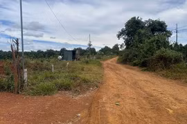 Tỉnh Đắk Nông chỉ đạo xác minh gói thầu hơn 40 tỷ đồng