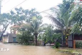 Bắc và Trung Trung Bộ mưa lớn, các địa phương chủ động ứng phó