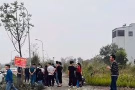 Thực hư giá đất 'sốt nóng' theo thông tin các tỉnh sáp nhập