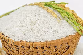 Giá gạo xuất khẩu của Việt Nam giữ vững vị trí số 1 thế giới