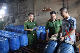 60 tấn giá đỗ 'ngậm' chất kích thích đã tiêu thụ ra thị trường