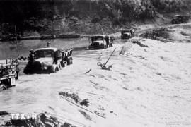 50 năm thống nhất đất nước: 