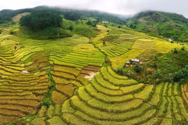 Những tuyệt tác thiên nhiên: Siu Puông và chuyện tình hóa đá