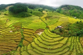 Những tuyệt tác thiên nhiên: Siu Puông và chuyện tình hóa đá