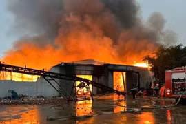 Cháy lớn tại Công ty TNHH Tam Phát ở Quảng Bình gây thiệt hại hơn 100 tỉ đồng