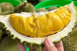 Trung Quốc ra cảnh báo với sầu riêng, mít Việt Nam