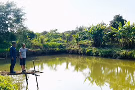 Hồ nuôi cá của gia đình ông Phan Đình Đại (thôn 5, xã Ia Tô). Ảnh: N.H