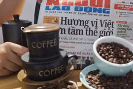 Giá cà phê hôm nay 15-5: Giảm sâu và sự kiện đặc biệt cuối tuần