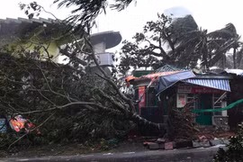 Biển Đông khả năng đón 11 - 13 cơn bão năm 2025