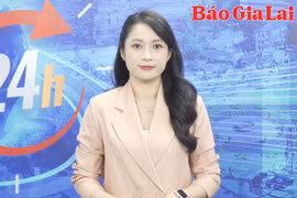 Triển khai các quyết định của Ban Thường vụ Tỉnh ủy và UBND tỉnh Gia Lai về công tác cán bộ