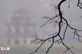 Thời tiết ngày 18/1: Bắc Bộ, Trung Bộ sáng sớm sương mù, trời rét