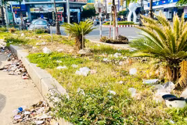 Để phố núi vẫn là “Cao nguyên xanh vì sức khỏe”