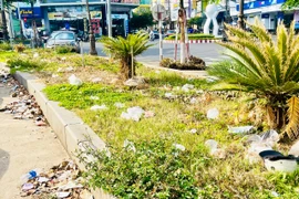 Để phố núi vẫn là “Cao nguyên xanh vì sức khỏe”
