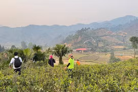 Uống trà đi!: Bản Liền, chuyện giờ mới kể