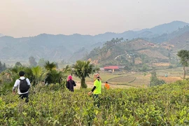 Uống trà đi!: Bản Liền, chuyện giờ mới kể
