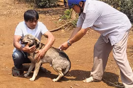 Đắk Lắk: Người phụ nữ tử vong nghi do bệnh dại vì bị mèo cắn 2 năm trước