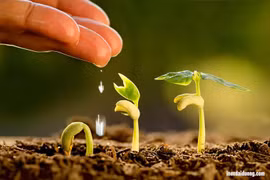 Ảnh minh họa. Nguồn: Internet