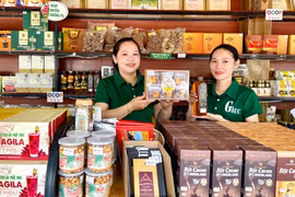 Các chủ thể OCOP đã lên thiết kế mẫu hộp quà tặng Tết. Ảnh: V.T