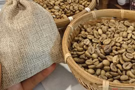 Giá cà phê hôm nay 25-3: Diễn biến trái chiều