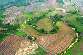 Ruộng bậc thang giữa đại ngàn