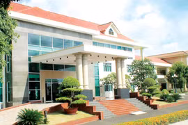 Công ty TNHH một thành viên Cao su Chư Sê