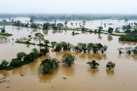 Bão Fengal gây mưa lũ nghiêm trọng, nhiều người thiệt mạng tại Ấn Độ và Sri Lanka