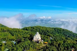 Bất chợt có hương vị 'Sapa' trên nóc nhà miền Tây