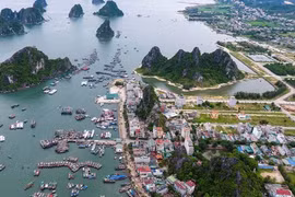 Bộ Nội vụ thông tin về mô hình 11 đặc khu sau sáp nhập đơn vị hành chính