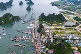 Bộ Nội vụ thông tin về mô hình 11 đặc khu sau sáp nhập đơn vị hành chính