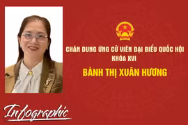 Chân dung ứng cử viên đại biểu Quốc hội khóa XVI Bành Thị Xuân Hương
