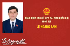 Chân dung ứng cử viên đại biểu Quốc hội khóa XVI Lê Hoàng Anh