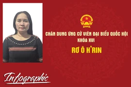 Chân dung ứng cử viên đại biểu Quốc hội khóa XVI Rơ Ô H'Rin