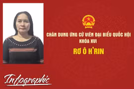 Chân dung ứng cử viên đại biểu Quốc hội khóa XVI Rơ Ô H'Rin