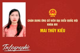Chân dung ứng cử viên đại biểu Quốc hội khóa XVI Mai Thúy Kiều