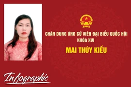 Chân dung ứng cử viên đại biểu Quốc hội khóa XVI Mai Thúy Kiều