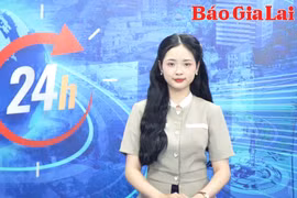 Gia Lai 24h: Đẩy mạnh chuyển đổi số cho hệ sinh thái khởi nghiệp