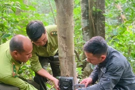 Bảo vệ động vật hoang dã trên dãy Trường Sơn: Xuyên rừng tìm dấu chân thú