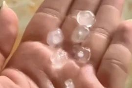 Sét đánh khiến 2 mẹ con tử vong khi đang núp mưa