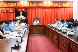 Thường trực Tỉnh ủy làm việc với tập thể Ủy ban Kiểm tra Tỉnh ủy về kết quả công tác kiểm tra, giám sát, kỷ luật của Đảng 6 tháng đầu năm và nhiệm vụ trọng tâm 6 tháng cuối năm 2024. Ảnh: Minh Phương