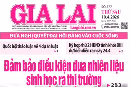 Báo Gia Lai số thứ sáu ngày 10-4-2026