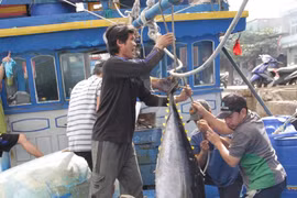 Bộ Tư pháp chỉ ra sai sót, nhiều cán bộ ở Bình Định bị kiểm điểm