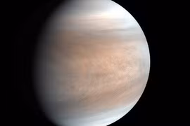 Chuyện có thật: 'Hành tinh tình yêu' sẽ tỏa sáng cực đại đúng lễ tình nhân