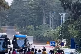 Nhóm du khách dàn hàng ngang chụp ảnh giữa đường tại thị trấn Măng Đen