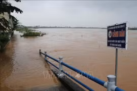 Quảng Ngãi: Lũ trên sông Trà Câu vượt mức báo động 3, cảnh báo ngập lụt nhiều vùng trong đêm