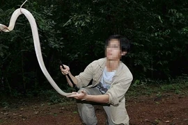 Đừng biến 'thú cưng' thành hiểm họa